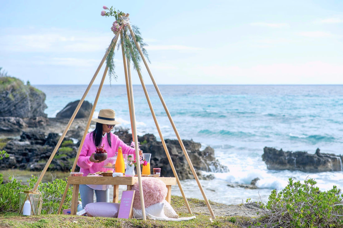 A Bermudaful Picnic